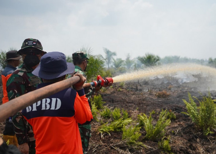 Api di Bawah Tanah Jadi Ancaman, Danrem 042/Gapu Turun Langsung Padamkan Karhutla di Air Merah
