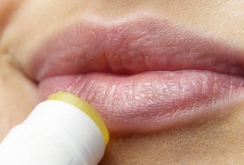 Simak Nih, 8 Makanan untuk Bantu Hilangkan Bibir Gelap