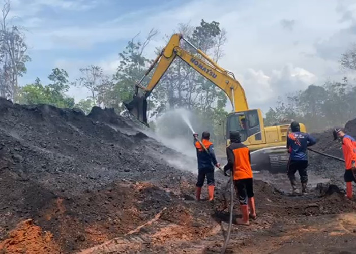 Kebakaran Batu Bara di Stockpile PT BBI, Ditreskrimsus Polda Jambi Cek Keabsahan Penambangan Perusahaan