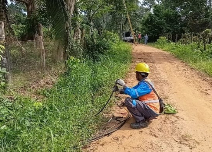 Warga Resah Pencurian Kabel Listrik Terus Berlangsung di Muaro Jambi, Minta Aparat Kepolisian Turun Tangan