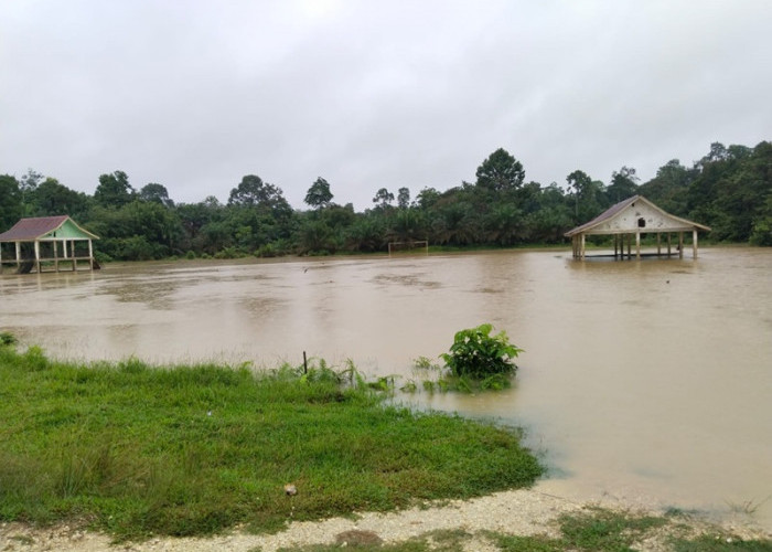 Sungai Batanghari Meluap Akibat Hujan Lebat Berhari-hari di Kabupaten Tebo, 3 Desa Terendam Banjir