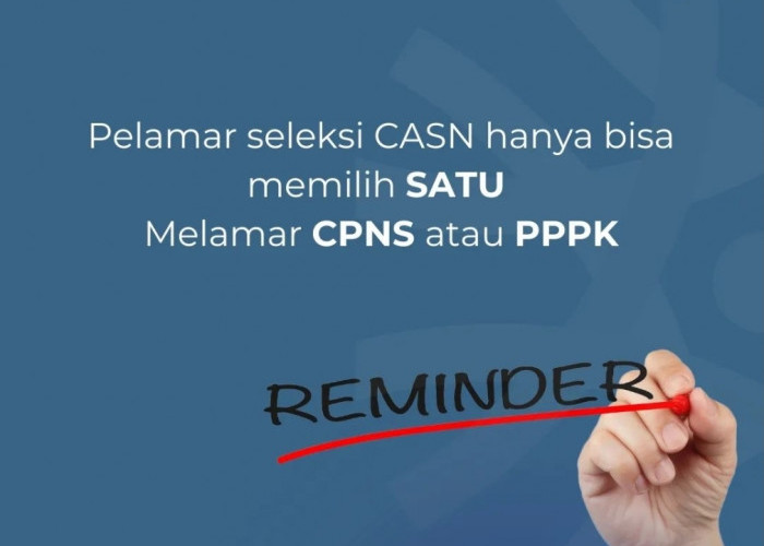 Gagal CPNS Bisa Ikut PPPK? Berikut Penjelasan BKN