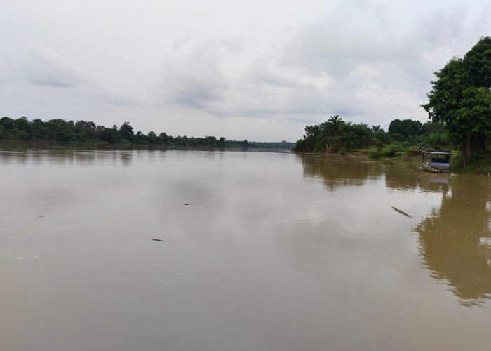 Kementerian LHK Ambil Sampel Air Sungai Batanghari di Kabupaten Tebo untuk Uji Kelayakan