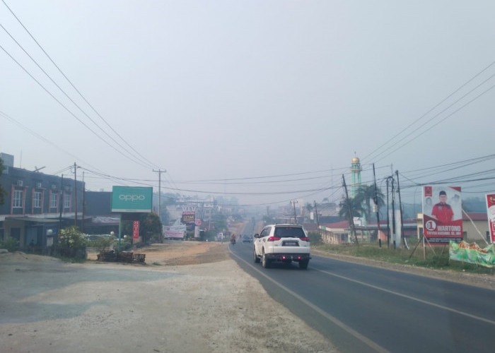 Kabut Asap di Tebo Kian Pekat, Jarak Pandang Hanya Tembus 2 KM