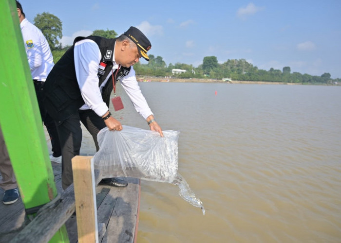 Pemkot Jambi Tebar 22.550 Benih Ikan Gurame di Kawasan Wisata Danau Sipin