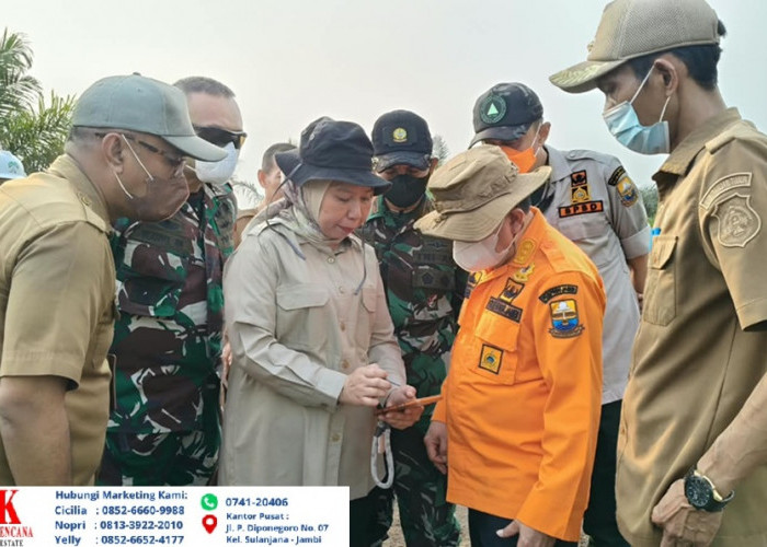 Karhutla Landa Tahura Orang Kayo Hitam di Batas Muaro Jambi-Tanjabtim, Api Dikhawatirkan Mendekati Permukiman