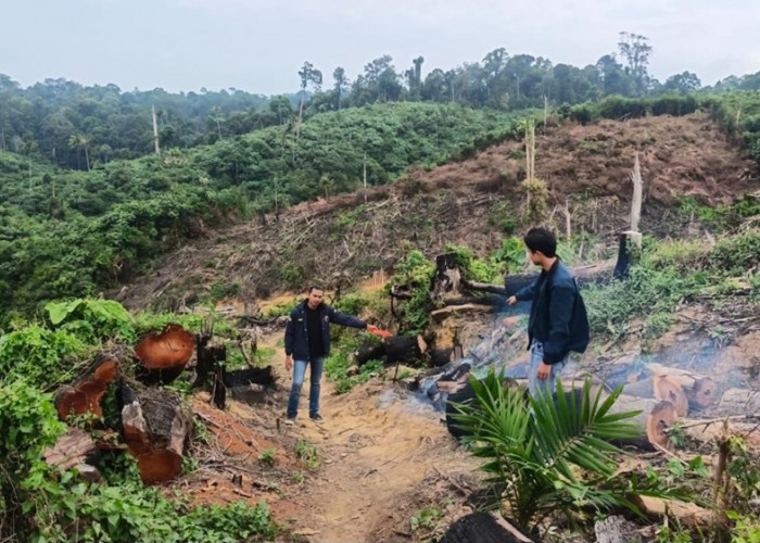 Bidik Kasus Karhutla 55 Hektare, Polda Jambi Kembali Turunkan Tim ke PT Samhutani dan PT REKI