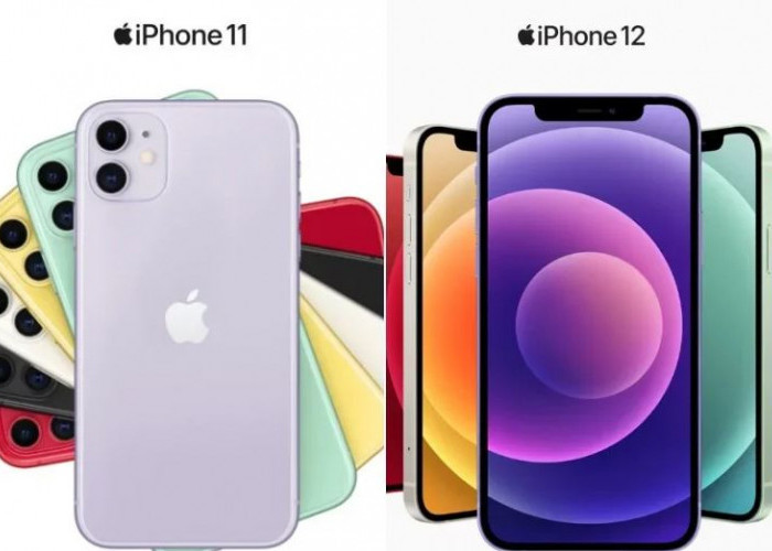 Harga iPhone 12 Turun Drastis di Bulan Maret 2024 di iBox, Cek Disini Harga dan Stoknya