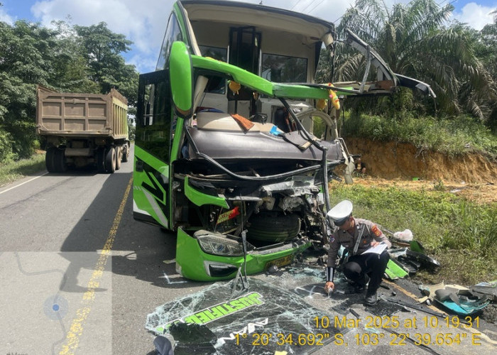 Bus Golden Star Tabrakan dengan Tronton di Jalintim Muaro Jambi, Ini Nama Penumpang yang Luka-luka