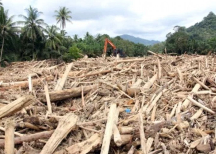 Nah Loh! Bareskrim Naikkan Kasus Kayu Terseret Banjir di Sumut ke Penyidikan
