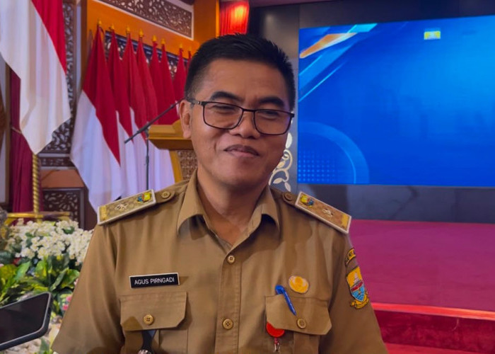 Harga Lebih Tinggi, Sawit Jambi Diduga Dijual ke Luar Daerah