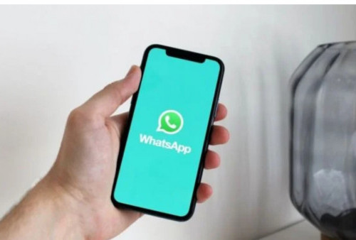 Ingin Membuat Centang Hijau Pada WhatsApp? Begini Caranya