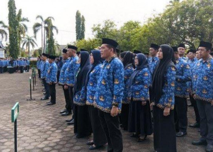 Pemkab Batanghari Buka Pendaftaran CPNS untuk 110 Formasi, Imbau Pendaftar Hatihati Saat Upload    