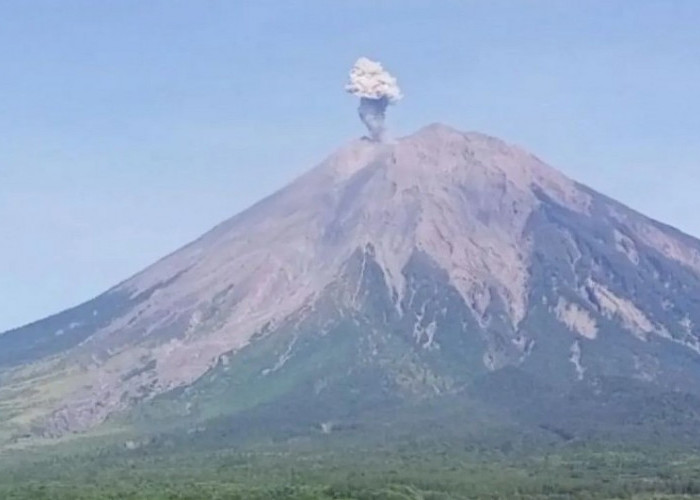 Gunung Semeru Erupsi Dua Kali dalam Sehari, Kolom Abu Mencapai 500 Meter!