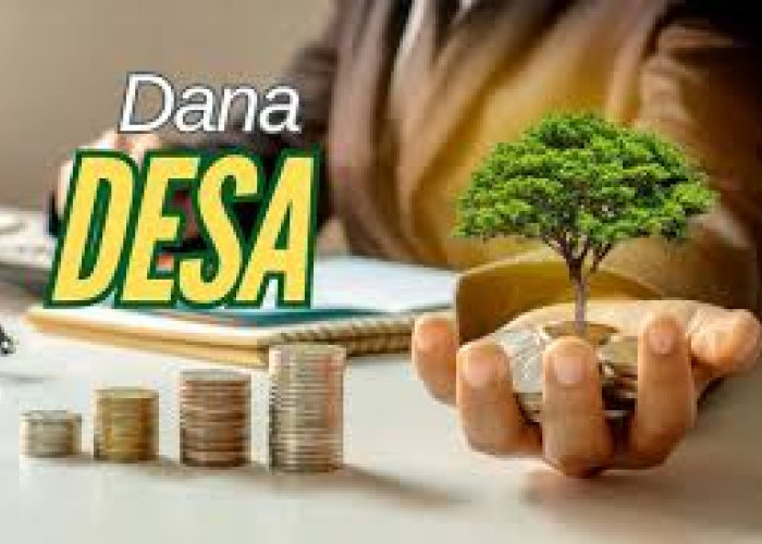  Pagu Anggaran Dana Desa hanya Rp 200 Juta hingga Rp 350 Juta, 22 Desa di Batang Hari Ajukan Pencairan 