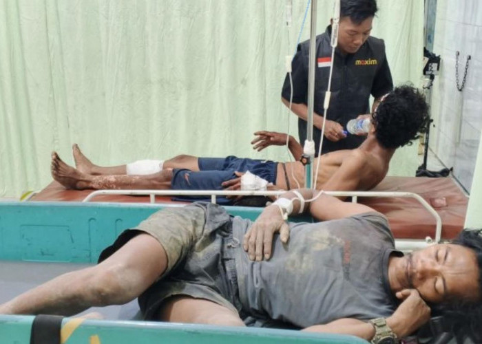 Bentrok Berdarah SAD vs Satpam PT SAL di Merangin: 8 Luka, 1 Hilang, Mess Hangus