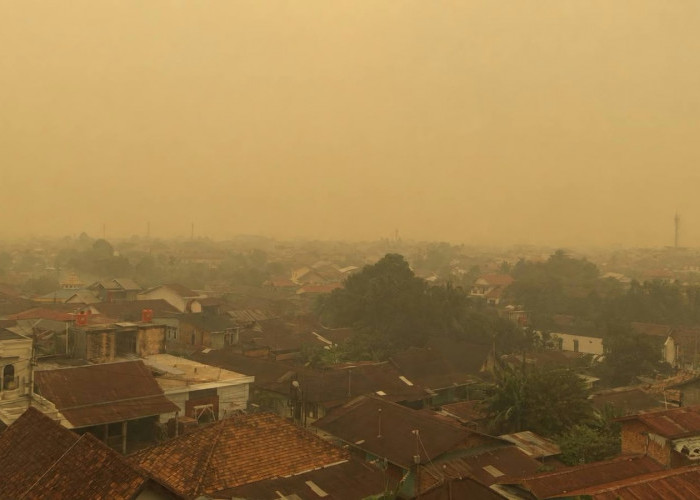 Waspada! Tanjab Timur Dikepung 600 Titik Panas