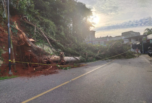 Jalan Bangko-Kerinci Sempat Lumpuh, Ini Penyebabnya