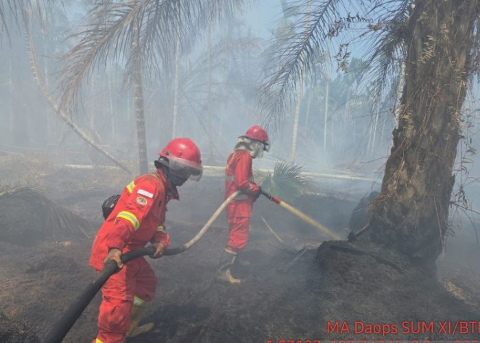 658,29 Hektare Lahan Terbakar, 62 Kasus dalam Proses Hukum