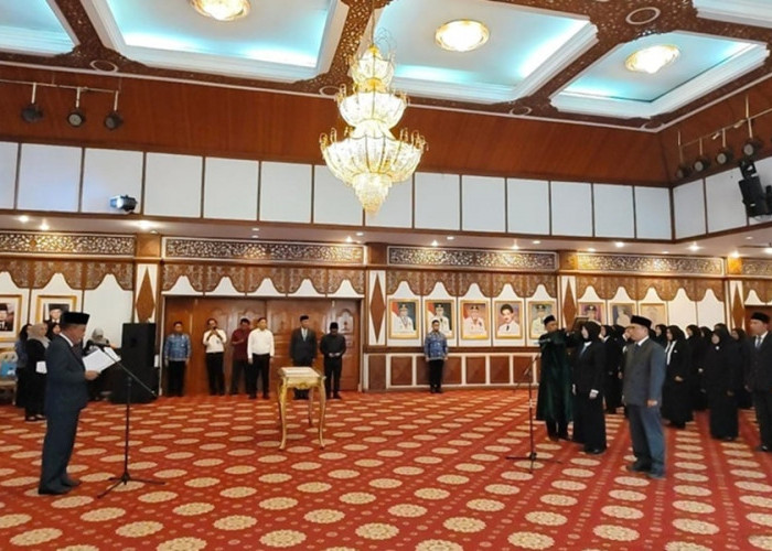 Jinsiy ona etuk juftlik