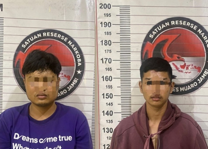 Pengedar Ganja di Sekernan Muaro Jambi Ditangkap, Ambil Narkoba dari Kota Jambi