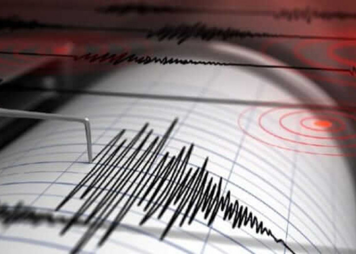 Gempa Guncang Kota Bima NTB Magnitudo 5,7, BMKG : Pusat di Tengah Laut