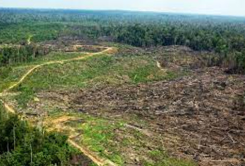 Terkait Usulan HPK ke Masyarakat Desa Tanjungkantung, BPN Beberkan Kriterianya