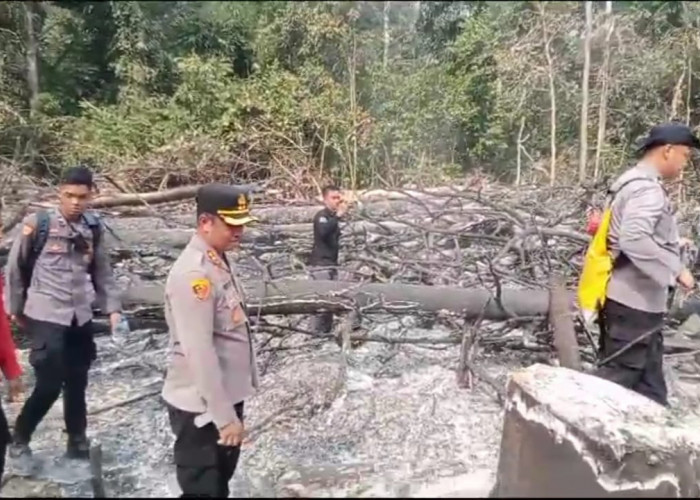 Lahan Konsesi PT ABT di Kecamatan Sumay Kabupaten Tebo Terbakar, Polisi Buru Pelaku