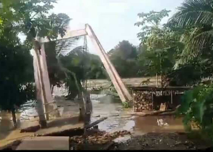 Sebagian Wilayah Merangin Terendam Banjir, Belasan Desa dan Beberapa Jembatan Penghubung Putus