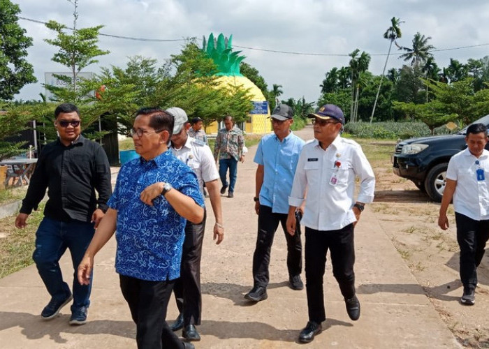 Pj Bupati Bachyuni Deliansyah Mengintruksikan Dinas PUPR berkoordinasi dengan BP2JN Tangani Jalan Agro Wisata 