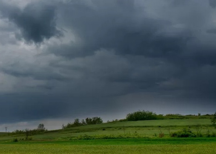 Prakiraan Cuaca Jambi: BMKG Prediksi Kota Jambi Berawan Sepanjang Pekan, Kerinci Terasa Lebih Dininigin  