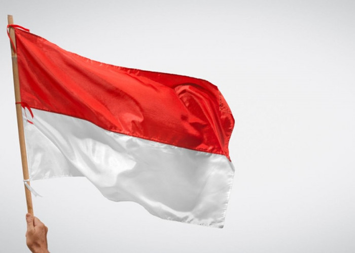 9 WNI Relawan Gaza Pulang dengan Luka dan Trauma, Indonesia Resmi Bawa Kasus Ini ke DK PBB