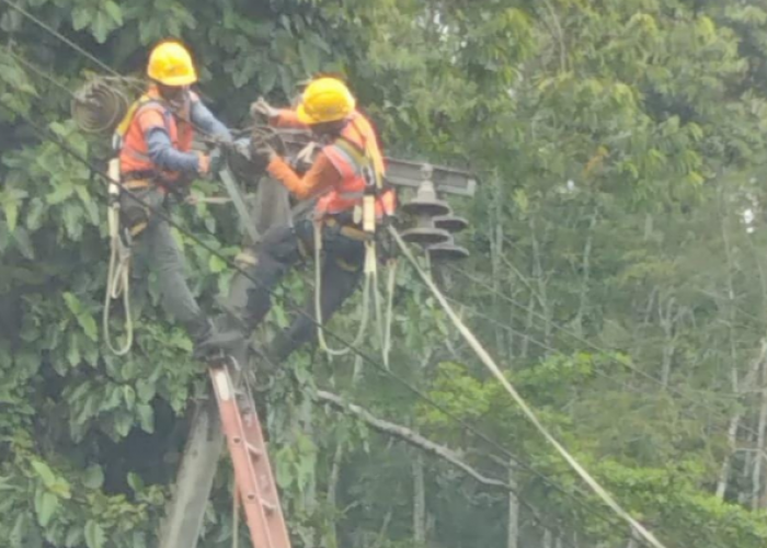 Tingkatkan Kehandalan Jaringan Listrik di Rantau Pandan, PLN ULP Rimbo Bujang Gelar Program GOES'R