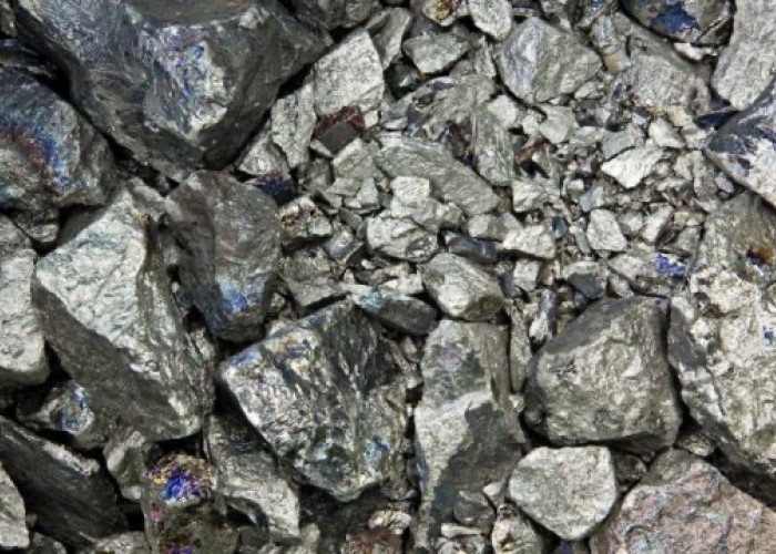 Bahlil Revisi Aturan Harga Nikel, APNI: Harga Langsung Melonjak ke US$18.200/Ton