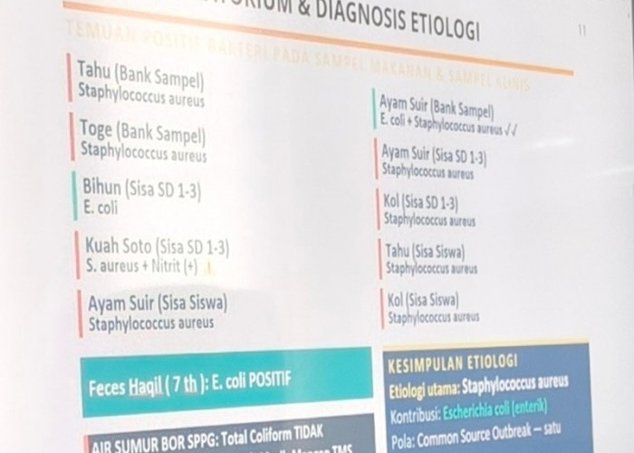  Terungkap! Bakteri Berbahaya Ditemukan di Menu Makan Siswa, Dugaan Keracunan Massal di Muaro Jambi Mengerucut