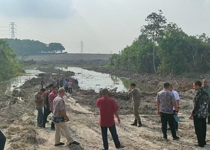 Izin PT SAS Mati, Anak Sungai Ditutup untuk Bangun Stockpile Batu Bara, Amirullah: Izinnya dari Provinsi 