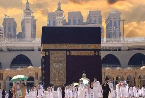 Selain Merokok, Jemaah Haji Dilarang Dekati Unta di Saudi, Ini Alasannya