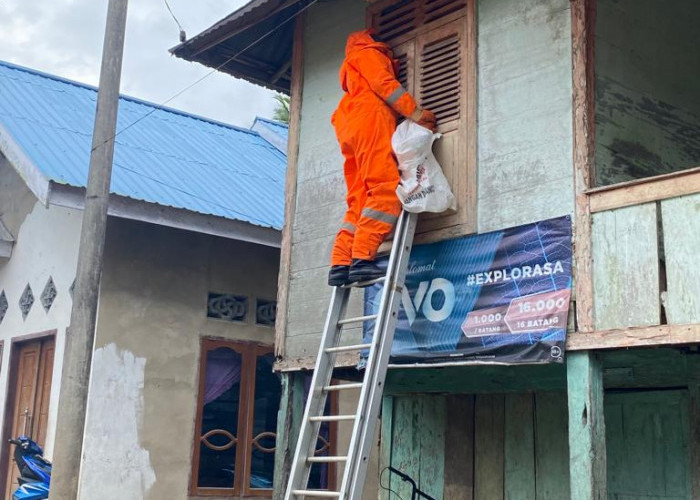 Damkar Kabupaten Bungo Eksekusi Sarang Tawon Vespa di Resplang Rumah Warga Dusun Laman Panjang