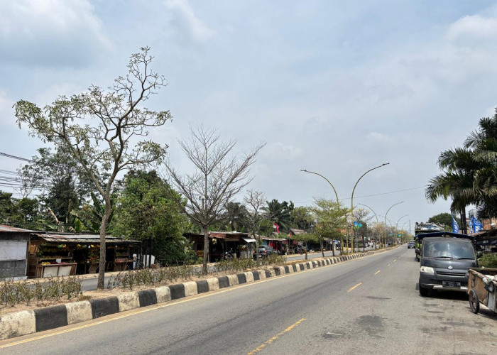 ISPU Capai 190, Udara Muarojambi Tidak Sehat 