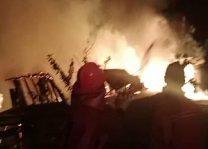 Kebakaran di Selincah Kota Jambi, 2 Unit Rumah Ludes