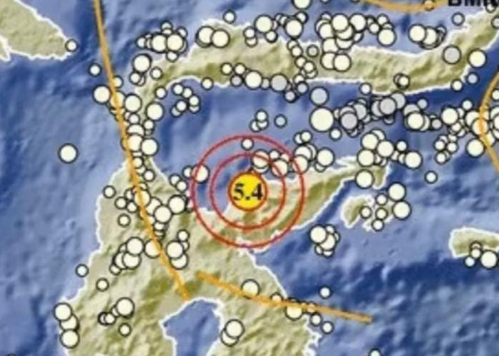 Gempa Bumi Berkekuatan 4.4 Magnitudo Gunjang Tojo Una Una, Sulawesi Tengah