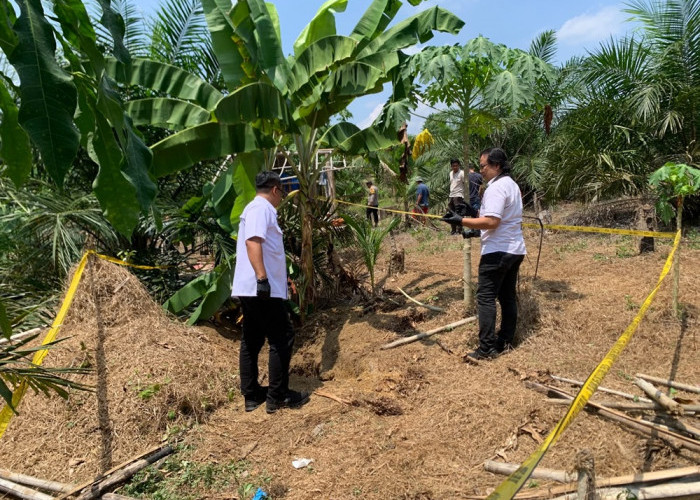 Geger Pengungkapan Kasus Mayat Dikubur di Kebun Sawit Merangin! Istri dan Mertua Korban Diamankan Polisi