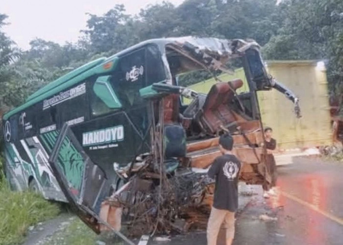 Bus Handoyo Kecelakaan Maut di Jalintim Palembang-Jambi, 1 Tewas dan Belasan Luka-luka