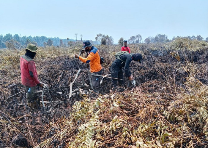 Karhutla Mulai Ancam Habitat Gajah di Tebo, Patroli Gabungan Diturunkan ke Kawasan Konservasi