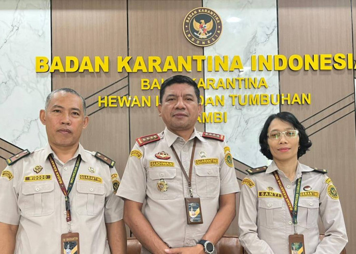 Ekspor 27,6 Ton Pinang Jambi Tertahan di Singapura dan Dikembalikan, Ini Penjelasan Kepala Balai Karantina 