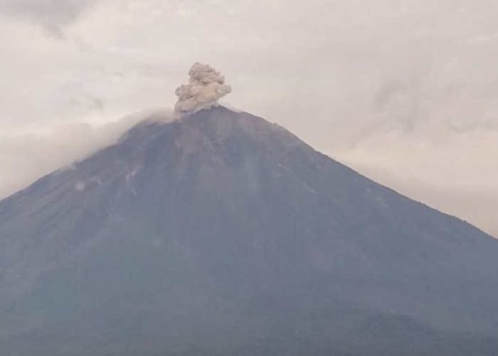 Gunung Semeru Erupsi Berkali-kali dengan, Tingginya Sampai 700 meter