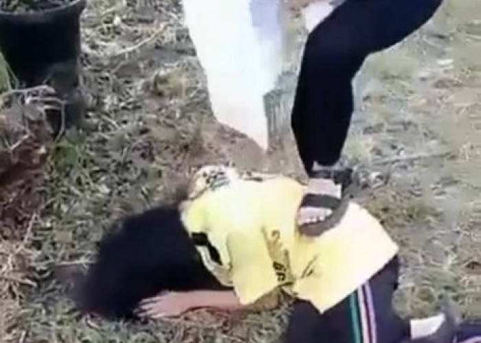 Viral Video Siswi SMP Kerinci di Bully Temannya, Dikeroyok hingga Dibenamkan ke Kolam