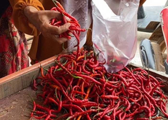 Jelang Bulan Ramadan, Harga Wortel di Pasar Angso Duo Naik, Harga Cabe Naik, Kemiri dan Lada Melonjak