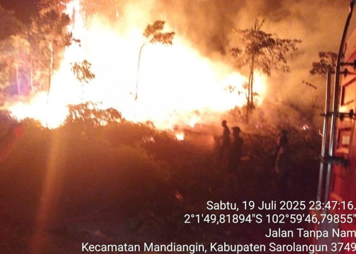 Karhutla! 1 Hektare Lahan di Mandiangin Sarolangun Terbakar