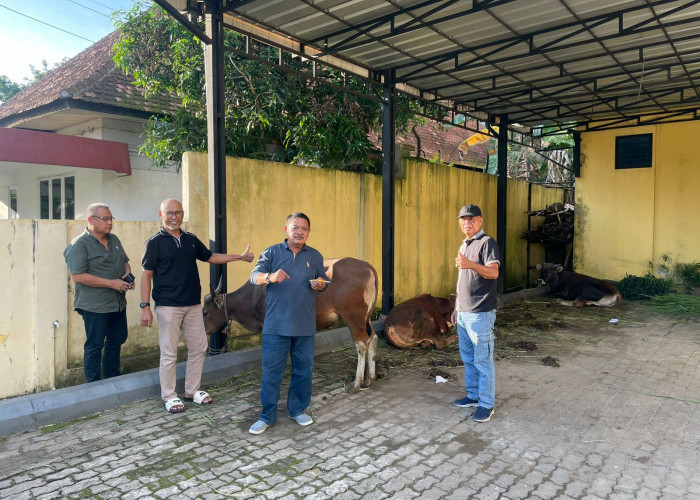 Idul Adha 2026, DPD Golkar Jambi Tebar Ribuan Paket Daging Qurban